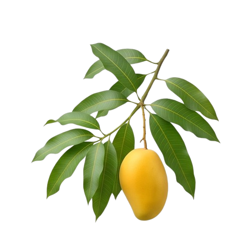 Fruit Plants