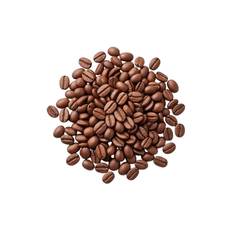 Seeds